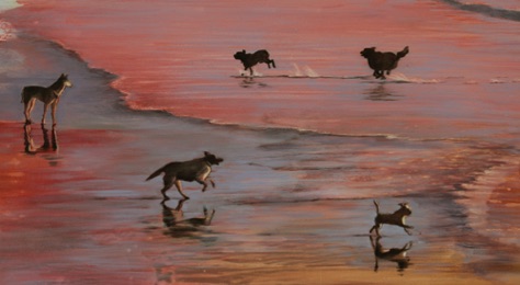 'playing in the surf'
10.75 x 19.25
oil on aluminum